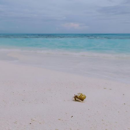 Bougan Villea Retreat Bodufolhudhoo Екстериор снимка