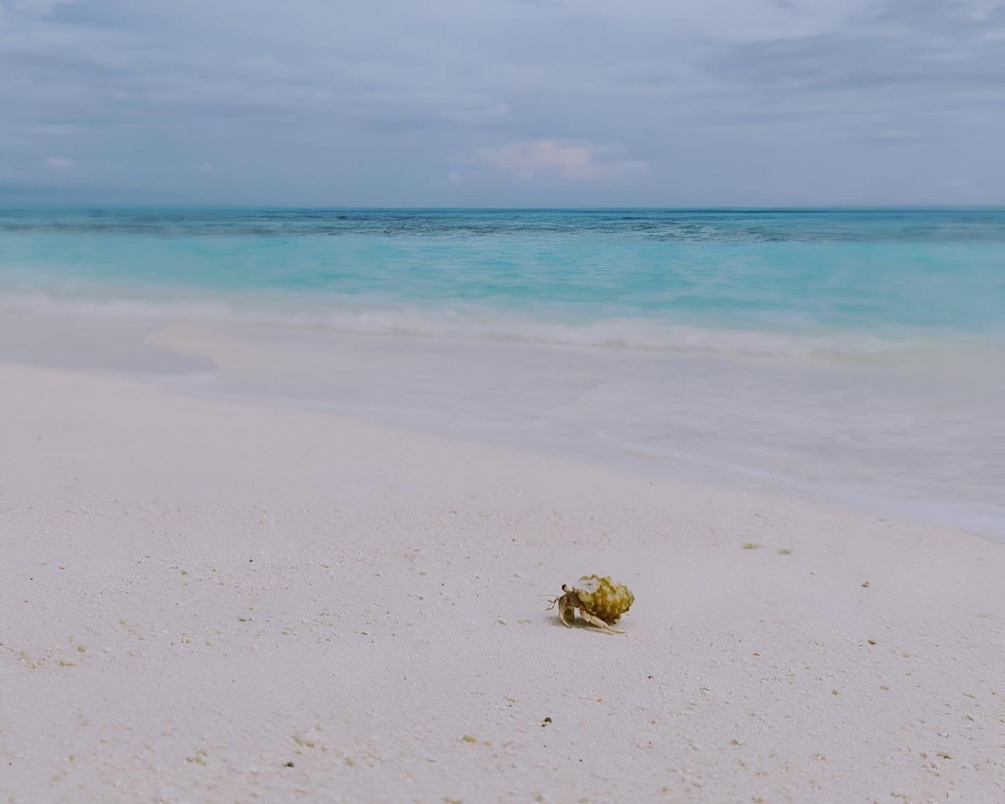 Bougan Villea Retreat Bodufolhudhoo Екстериор снимка